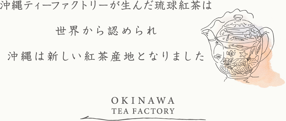 沖縄ティーファクトリーが生んだ琉球紅茶は世界から認められ沖縄は新しい紅茶産地となりました